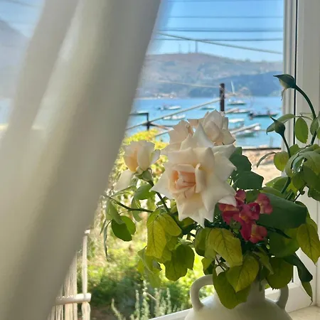 Viktora'S House Apartment Himare Exterior photo